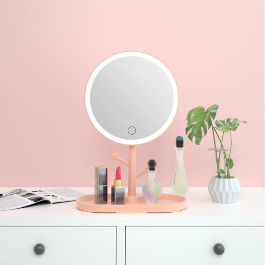 LED makeup mirror with light