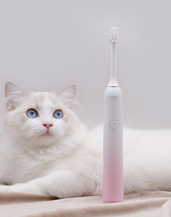 electric toothbrush