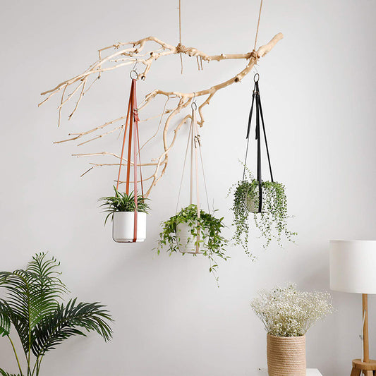 Leather Plant Hanging Basket Adjustable Hanging
